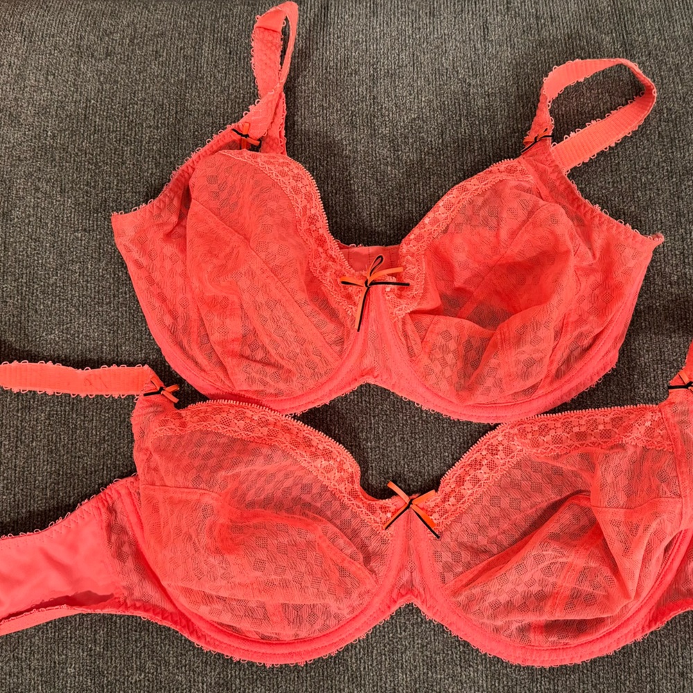 Freya Orange Lace Bra